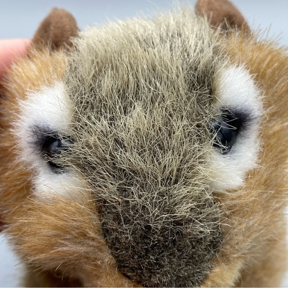 Stuffed Animal House Chipmunk "Peanut" Squirrel Plush 6" Brown Realistic 2019 - Picture 5 of 7